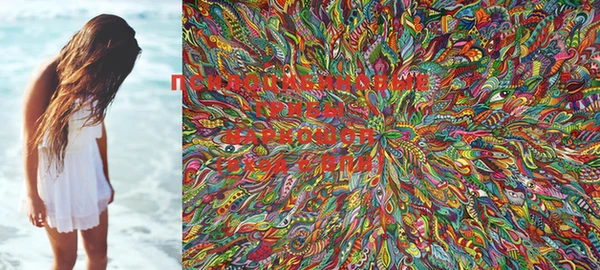 MDMA Premium VHQ Аркадак